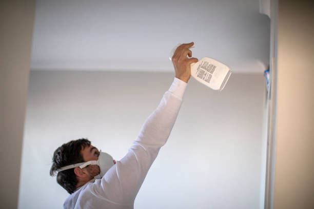 Best Mold Removal Company Near Me  in Byhalia, MS