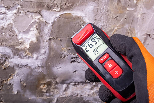 Professional Mold Removal in Byhalia, MS